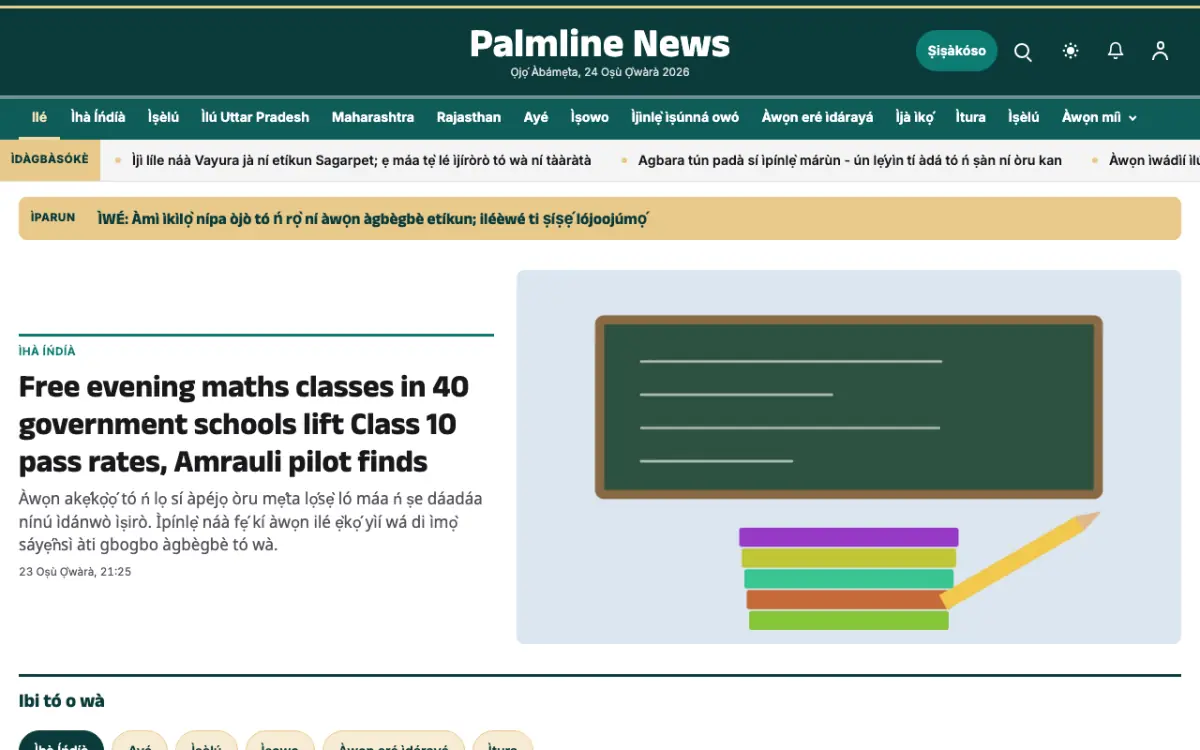Palmline — àwòṣe ojú òpó Ìròyìn Gbogbogbò, ìrísí kọ̀ǹpútà