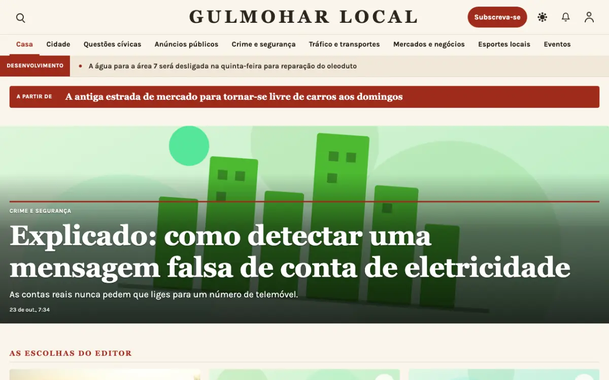 Blossomrow — modelo de site de Notícias de Local, visualização em desktop