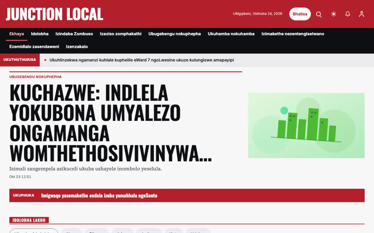 Junction — ithempulethi yewebhusayithi ye-Izindaba ze-Zendawo, ukubuka kwekhompyutha