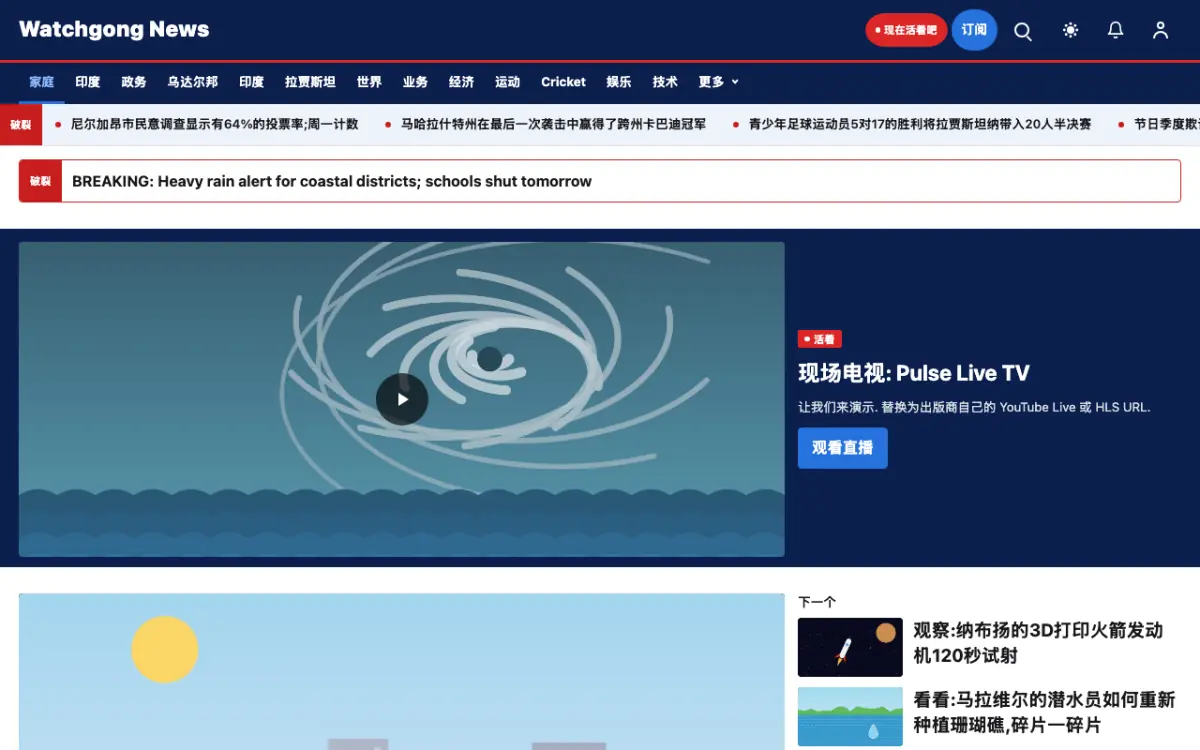 Watchgong — 综合新闻网站模板，桌面版预览