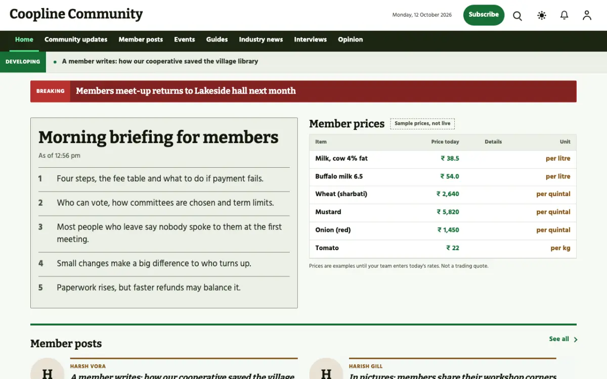Coopline — Community News website template, desktop view