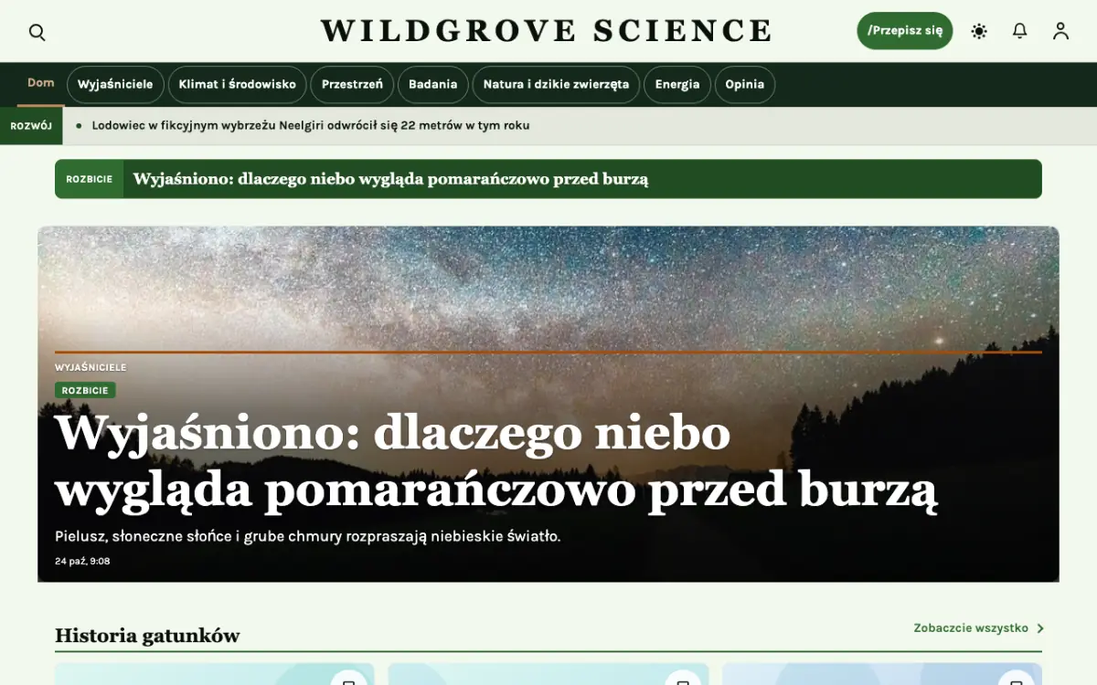 Wildgrove – szablon strony (Nauka: wiadomości), widok na komputerze